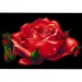 Puzzle cu diamante: Set de pictură cu diamante trandafir 10x15cm