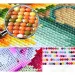 Puzzle cu diamante: Set de pictură cu diamante trandafir 10x15cm