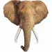 Puzzle uriaș cu elefant WOW, 700 de piese