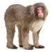 Schleich: Figurina macac japonez (14871)