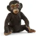Schleich: Figurină pui de cimpanzeu (14884)