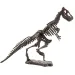 Set arheologic cu dinozauri, disponibil în mai multe variante, 1 bucată