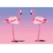Set de pictură cu diamante: Flamingo, 10x15cm