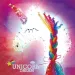 WowBox: Set creativ pentru realizarea unui tablou cu fir LED unicorn