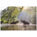 Animal Planet: Elefanți în lac 1000 bucăți puzzle