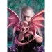 Anne Stokes: Dragonkin 1000 bucăți puzzle - Clementoni