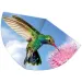 Colibri zmeu