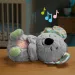 Fisher-Price: Koala animal pluș muzical - Mattel