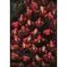 La Casa De Papel: Hoți sau ostatici? 1000 bucăți puzzle - Clementoni