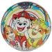 Paw Patrol BioBall minge cauciuc 23cm