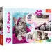 Pisici simpatice puzzle 160 bucăți - Trefl