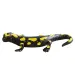 Salamander figurină de joacă