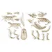 Science&amp;Play: Archeofun T-rex și Triceratops luminează set de arheolog - Clementoni