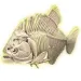 Science &amp; Play: Piranha set arheologic fluorescent - Clementoni