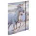 Spirit: Cool Magical Horse cai rucsac, ghiozdan ergonomic set de 4 bucăți
