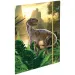 Spirit: Cool Raptor ergonomic rucsac, ghiozdan set 4 bucăți